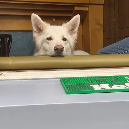 & Bar Royal Taste أمستردام