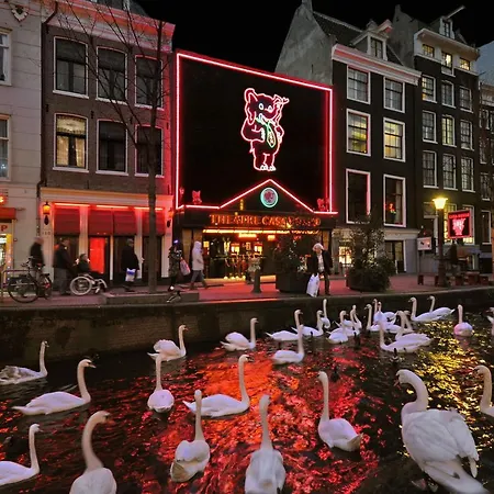 & Bar Royal Taste * Amsterdam