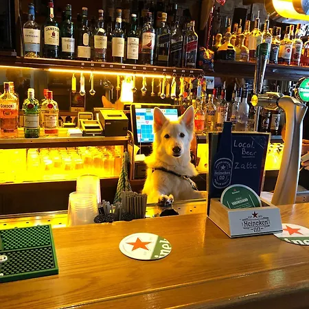 & Bar Royal Taste Amsterdam