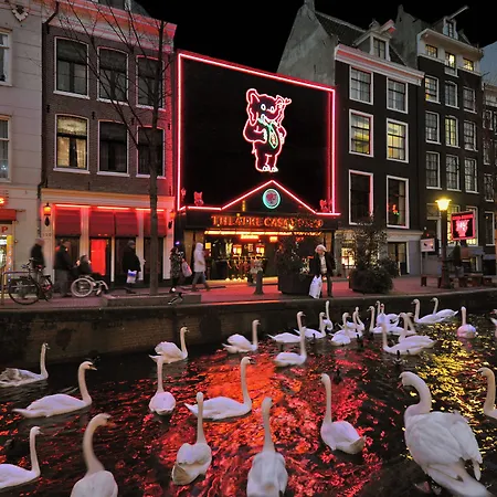 Hotel Hotel&bar Royal Taste *