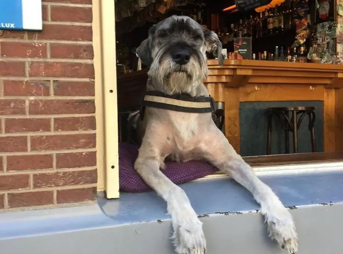 Hotel&bar Royal Taste