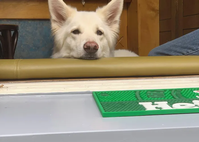 Hotel&bar Royal Taste Amsterdam