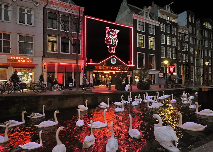 Hotel Hotel&bar Royal Taste *